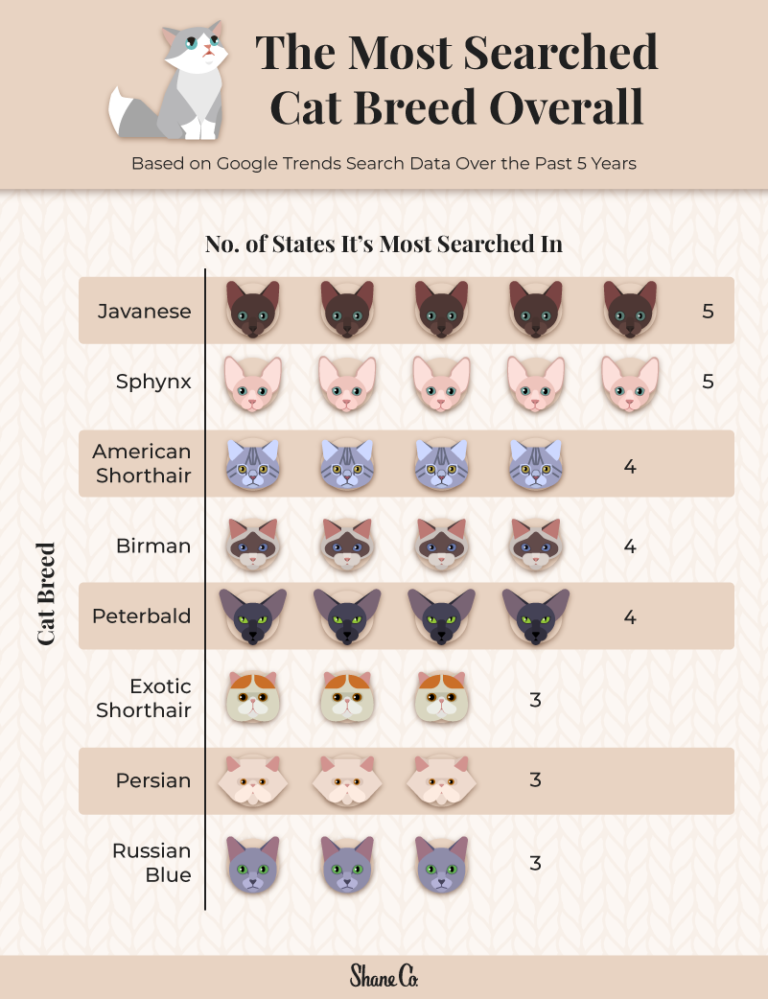 The Most Popular Cat Breed in Every U.S. State