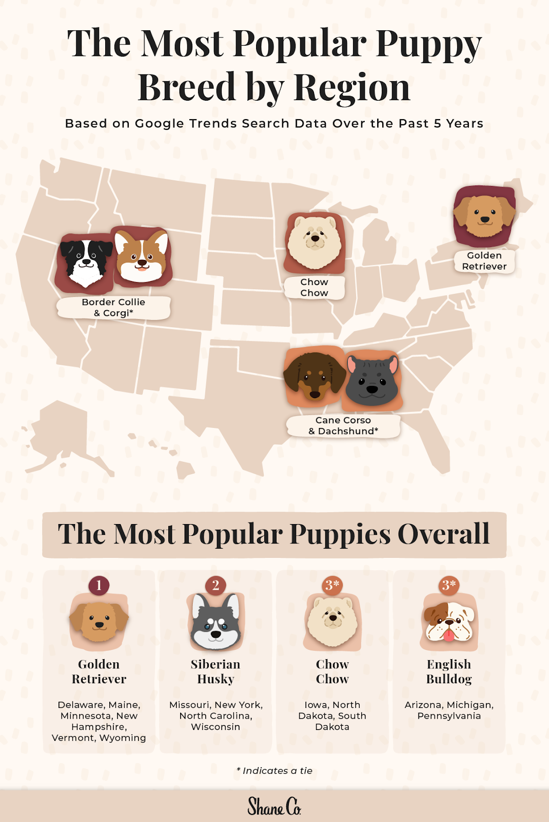 Graphic displaying the most popular puppy breed in every U.S. region