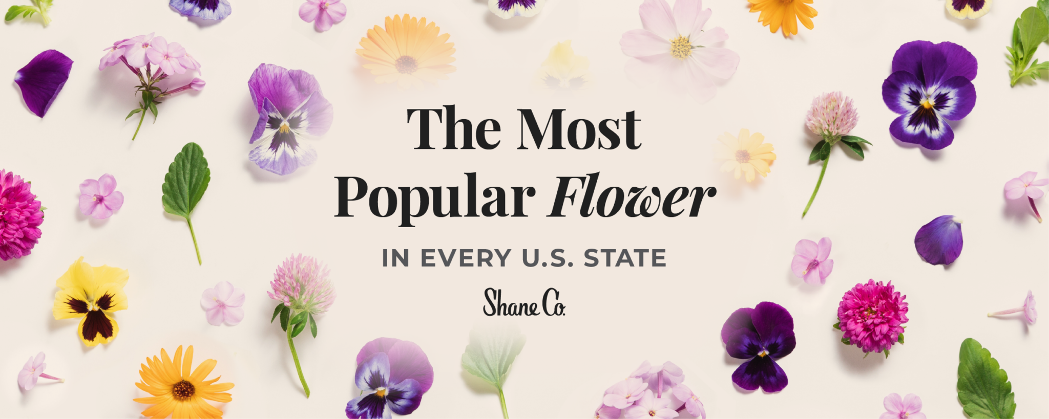 every-state-s-favorite-flower-the-most-popular-flower