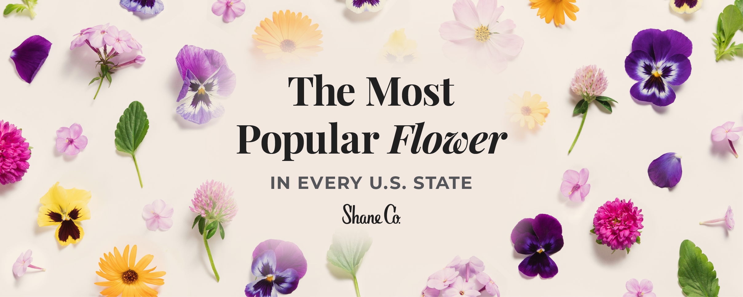Every State's Favorite Flower